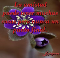 /album/fotogaleria/la-amistad-puede-jpg/